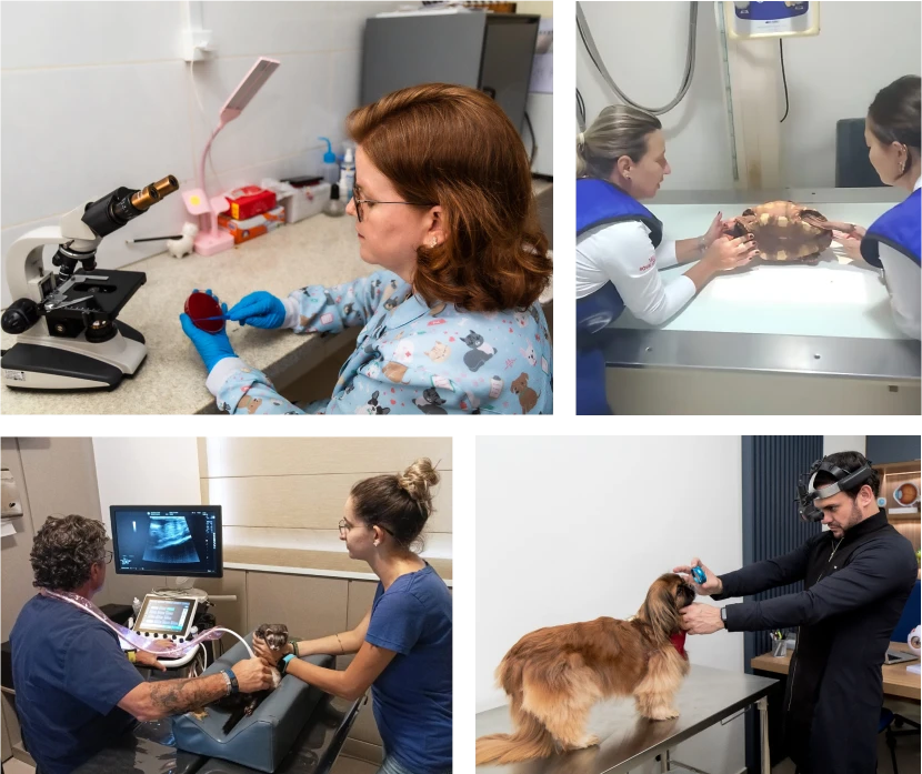 Imagem de profissionais realizando exames laboratoriais.